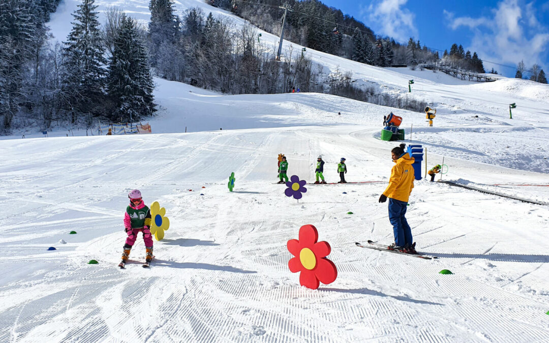 Job / Stellenangebot Skilehrer:in