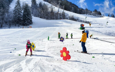 Job / Stellenangebot Skilehrer:in